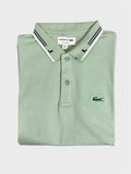 Sporty & Bold-Polo T-Shirt For Men_Parrot
